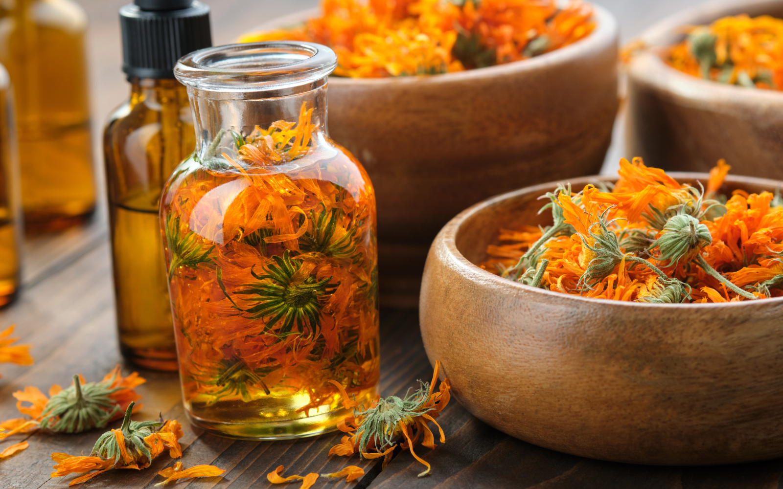 Why Calendula Flower is a Skincare Powerhouse — And Why It’s in Every Bottle of Our Holistic Body Oil