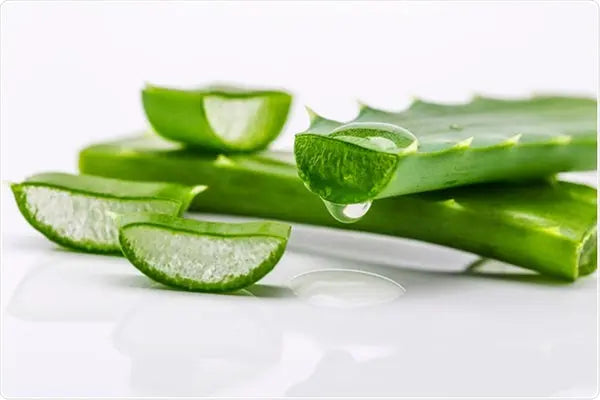 Benefits of Aloe Vera