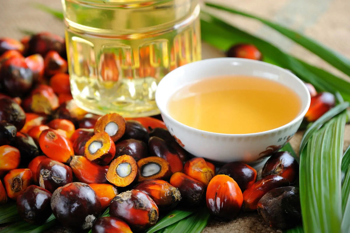 Top 10 Natural Ingredients for Healthy Hair Growth LeonicaCosmetics